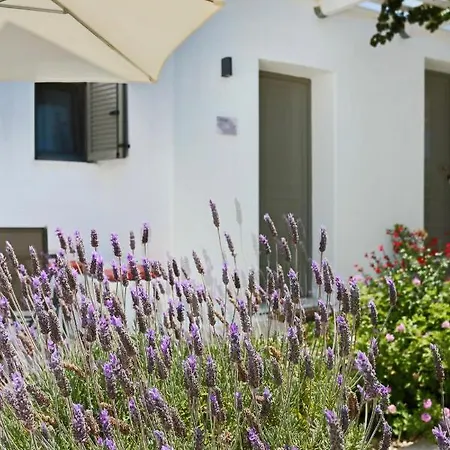 Lägenhet Yiasemi Skyros